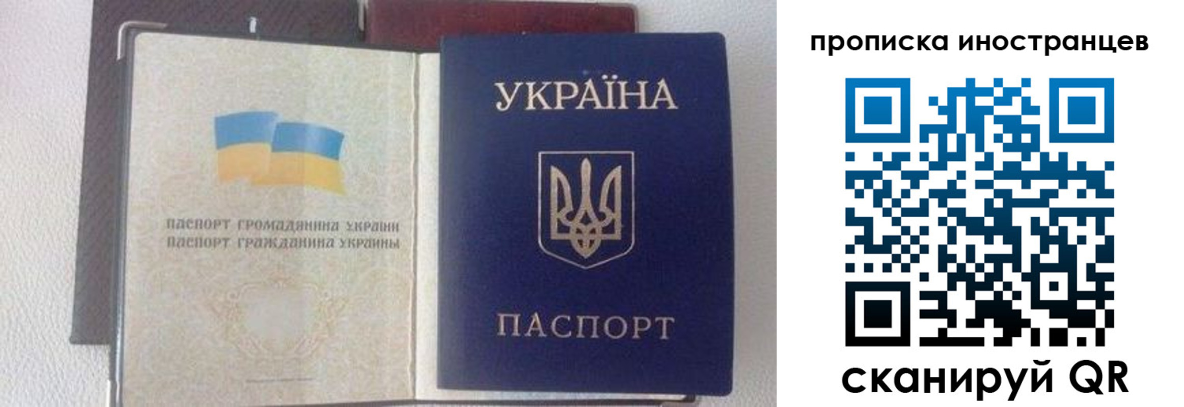регистрация в Белгородской области